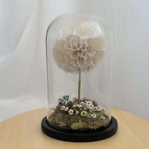 diente-leon-preservado-fanal