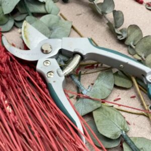 taller-flores-preservadas-tijeras