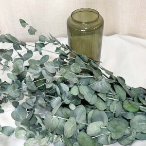 ramo-eucalipto-ramas