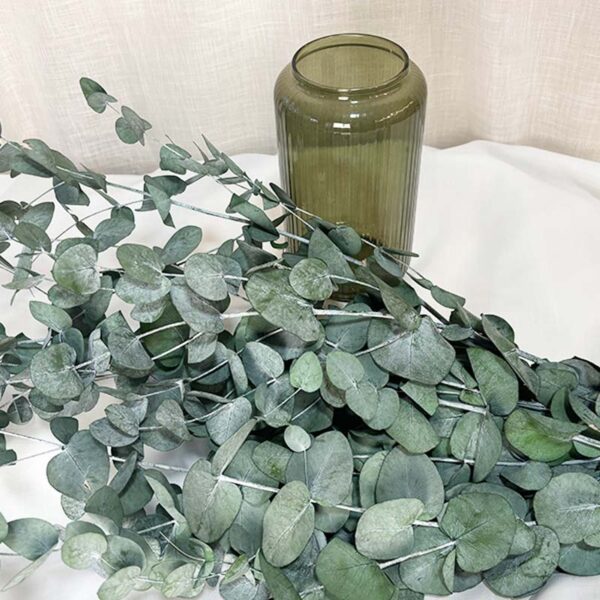 ramo-eucalipto-ramas